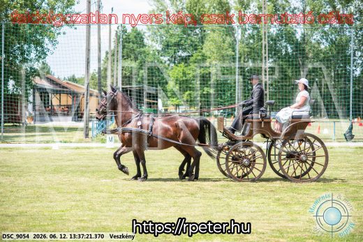 Mintakép 20260612-638