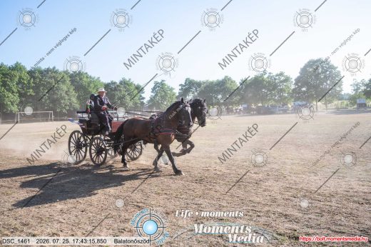 Mintakép 20260725-1732