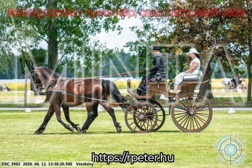 Mintakép 20260612-641