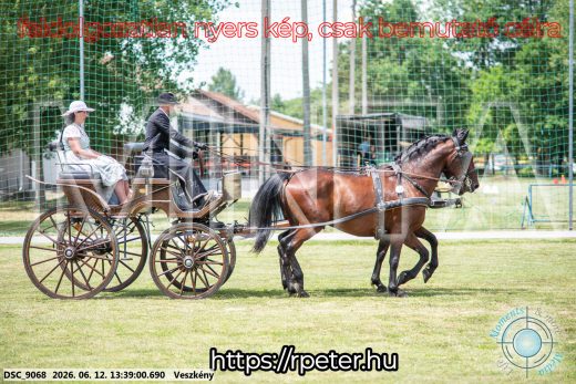 Mintakép 20260612-643