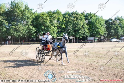 Mintakép 20260725-1766