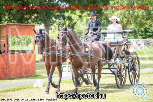 Mintakép 20260612-644