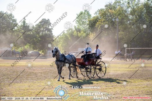 Mintakép 20260725-1770