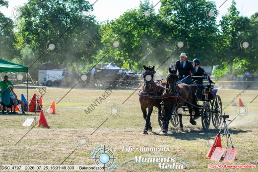Mintakép 20260725-924