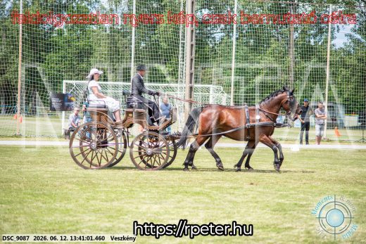 Mintakép 20260612-646