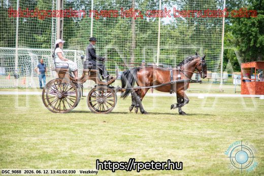 Mintakép 20260612-647