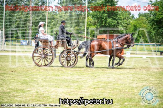Mintakép 20260612-648