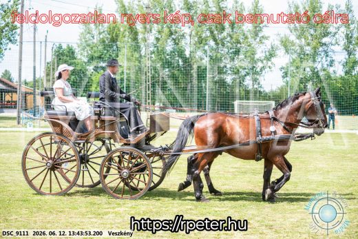 Mintakép 20260612-649