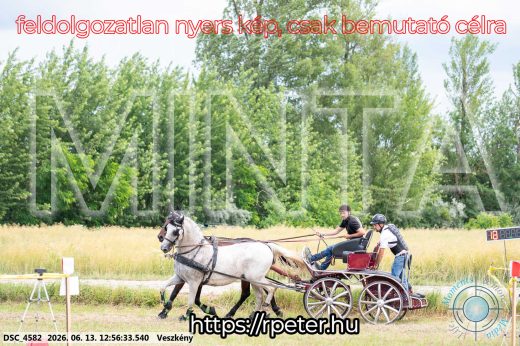 Mintakép 20260613-1248