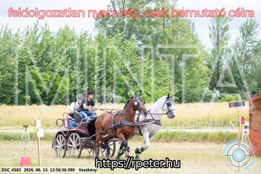 Mintakép 20260613-1249
