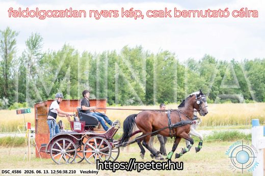 Mintakép 20260613-1252