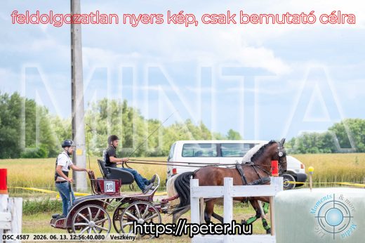 Mintakép 20260613-1253
