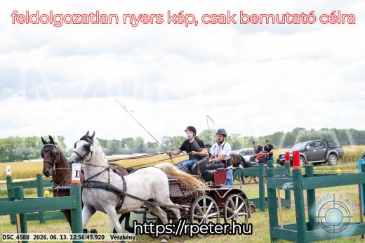Mintakép 20260613-1254