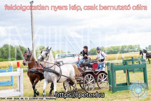 Mintakép 20260613-1255