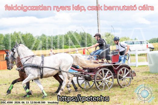 Mintakép 20260613-1256