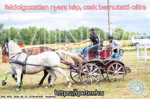 Mintakép 20260613-1257