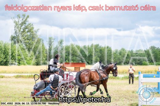 Mintakép 20260613-1258
