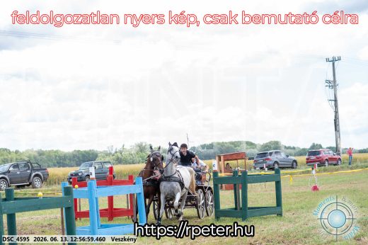 Mintakép 20260613-1261