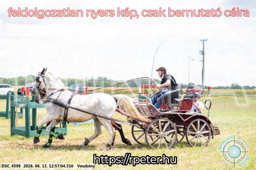 Mintakép 20260613-1264