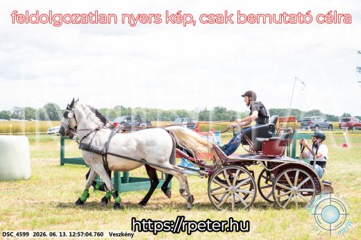 Mintakép 20260613-1265