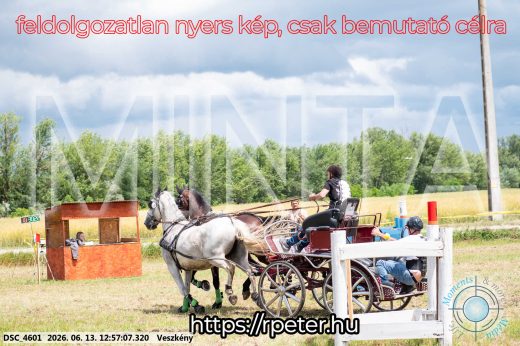 Mintakép 20260613-1267