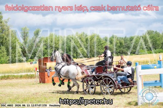 Mintakép 20260613-1268