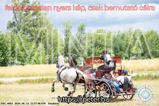 Mintakép 20260613-1269