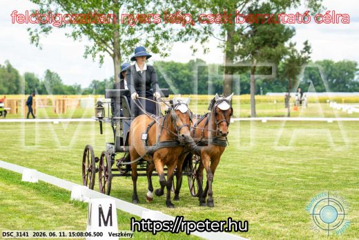 Mintakép 20260611-27