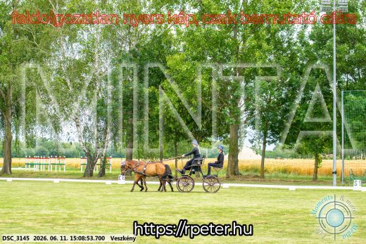 Mintakép 20260611-28