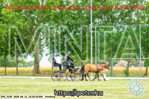 Mintakép 20260611-29