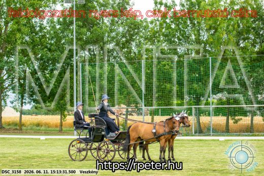 Mintakép 20260611-33
