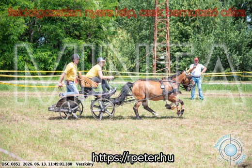 Mintakép 20260613-1270
