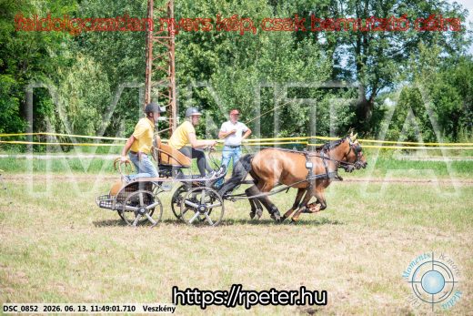Mintakép 20260613-1271