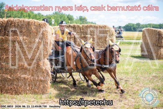 Mintakép 20260613-1272
