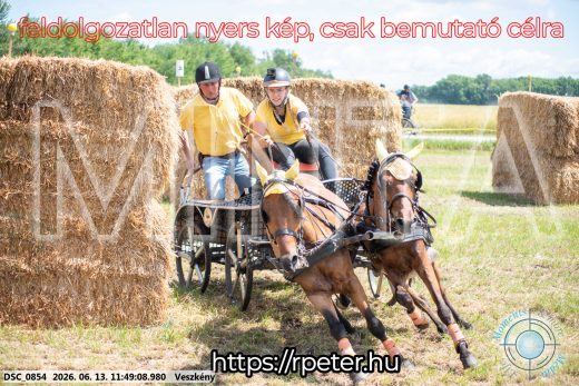 Mintakép 20260613-1273