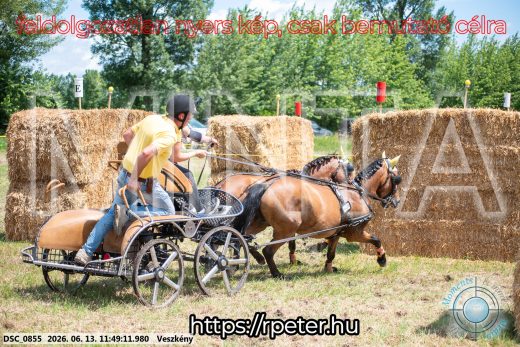 Mintakép 20260613-1274