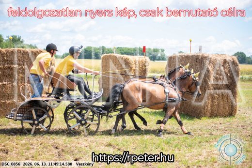Mintakép 20260613-1275