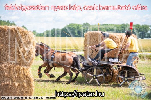 Mintakép 20260613-1276