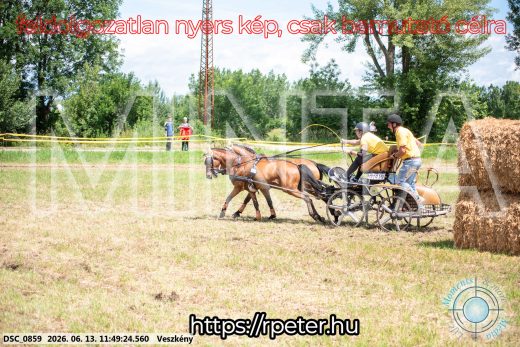 Mintakép 20260613-1278
