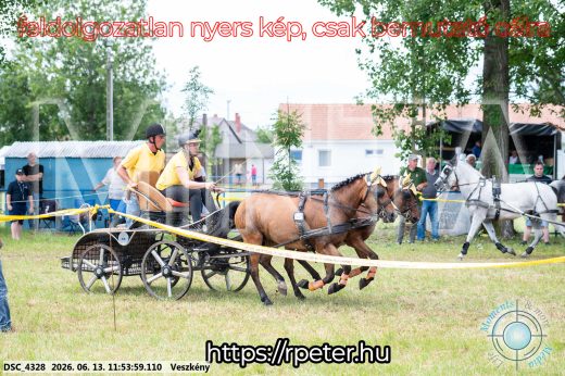 Mintakép 20260613-1279