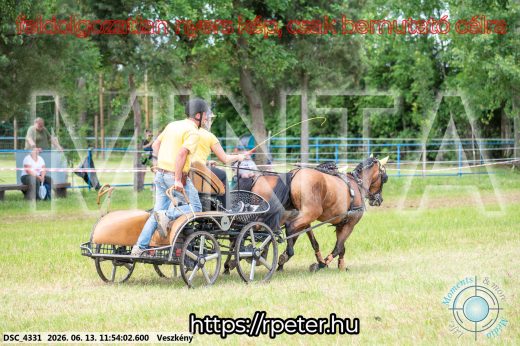 Mintakép 20260613-1282
