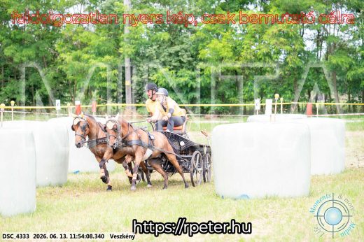 Mintakép 20260613-1284