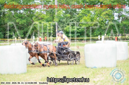 Mintakép 20260613-1285