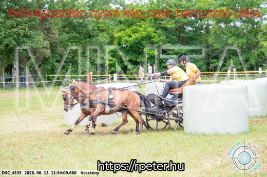 Mintakép 20260613-1286