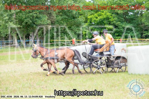 Mintakép 20260613-1287