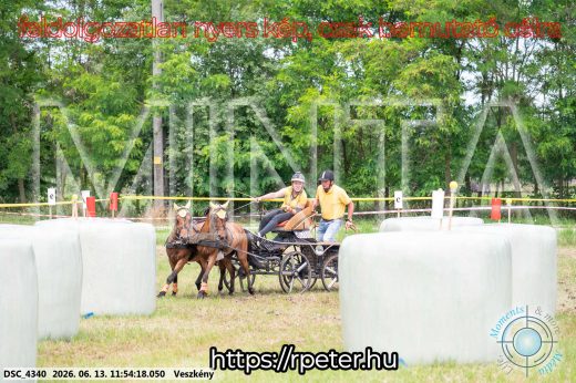 Mintakép 20260613-1288