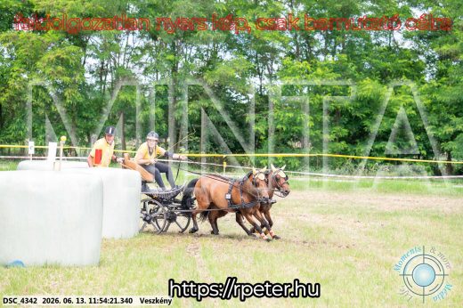 Mintakép 20260613-1290