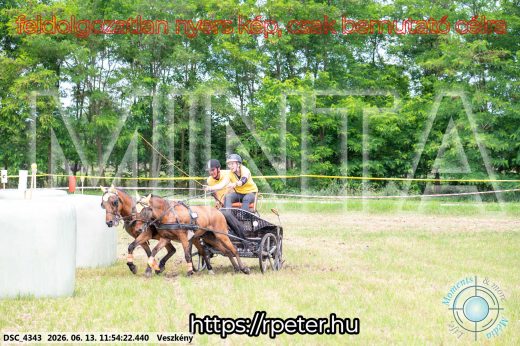 Mintakép 20260613-1291
