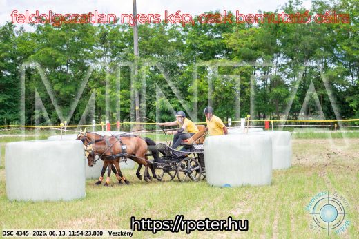 Mintakép 20260613-1292