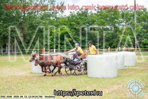 Mintakép 20260613-1293